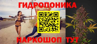 сатива Кинель