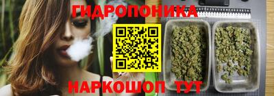 mdpv Кимры